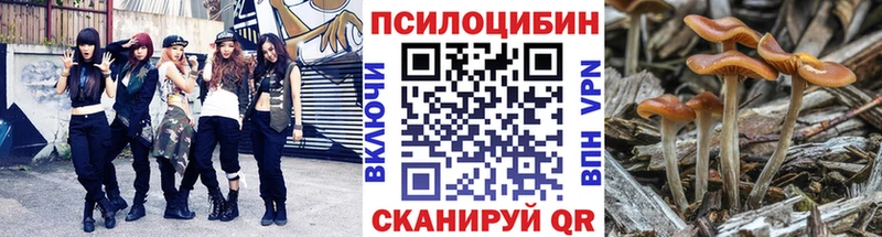 гидра зеркало  Пугачёв  Псилоцибиновые грибы мухоморы 